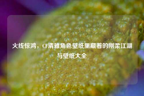 火线惊鸿,CF清雅角色壁纸里藏着的刚柔江湖与壁纸大全