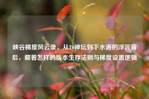 峡谷梯度风云录,从T0神坛到下水道的浮沉背后,藏着怎样的版本生存法则与梯度设置逻辑