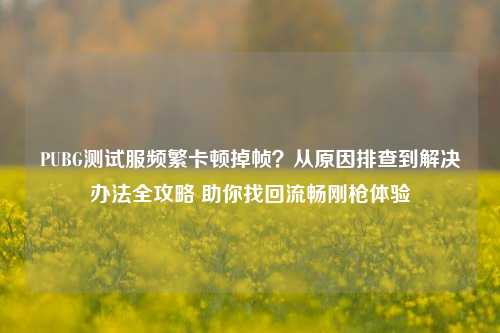 PUBG测试服频繁卡顿掉帧?从原因排查到解决办法全攻略 助你找回流畅刚枪体验