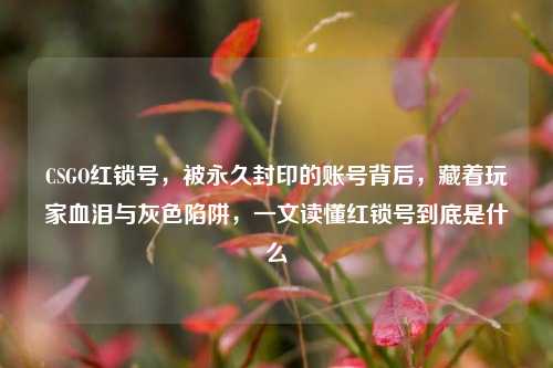 CSGO红锁号,被永久封印的账号背后,藏着玩家血泪与灰色陷阱,一文读懂红锁号到底是什么