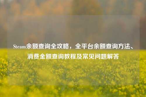 Steam余额查询全攻略,全平台余额查询方法、消费金额查询教程及常见问题解答