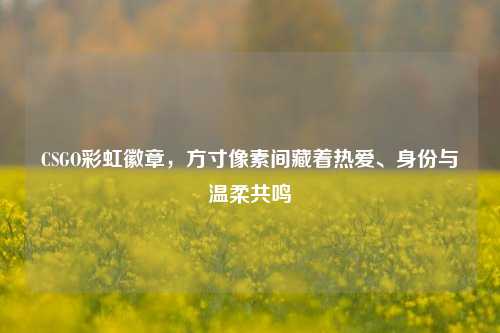 CSGO彩虹徽章,方寸像素间藏着热爱、身份与温柔共鸣