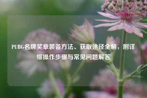 PUBG名牌奖章装备方法、获取途径全解,附详细操作步骤与常见问题解答
