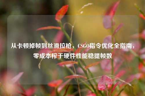 从卡顿掉帧到丝滑拉枪,CSGO指令优化全指南,零成本榨干硬件性能稳提帧数