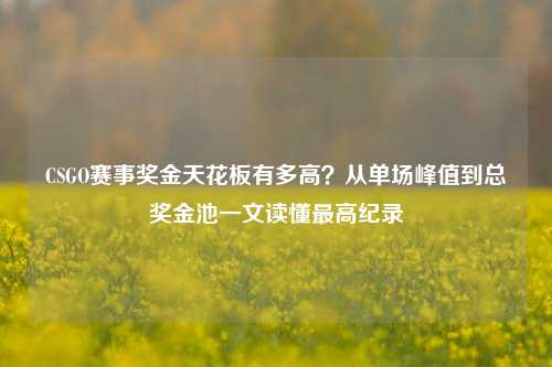CSGO赛事奖金天花板有多高？从单场峰值到总奖金池一文读懂最高纪录