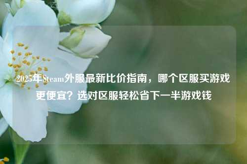 2025年Steam外服最新比价指南，哪个区服买游戏更便宜？选对区服轻松省下一半游戏钱