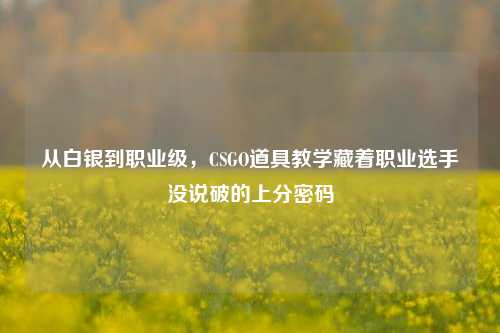 从白银到职业级,CSGO道具教学藏着职业选手没说破的上分密码