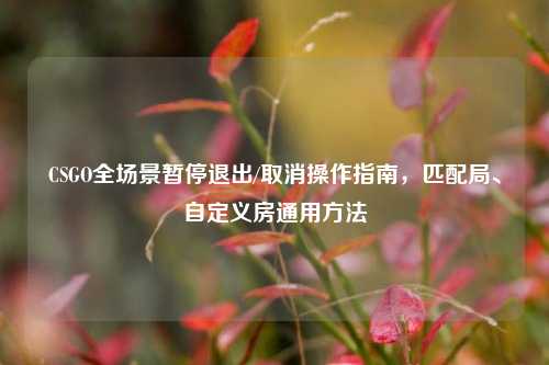 CSGO全场景暂停退出/取消操作指南,匹配局、自定义房通用方法