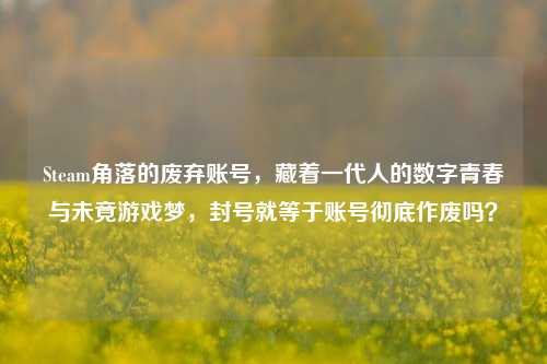 Steam角落的废弃账号，藏着一代人的数字青春与未竟游戏梦，封号就等于账号彻底作废吗？