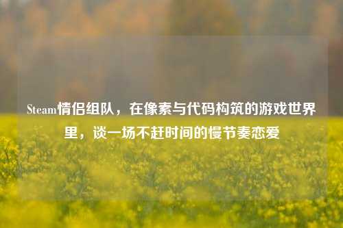 Steam情侣组队，在像素与代码构筑的游戏世界里，谈一场不赶时间的慢节奏恋爱