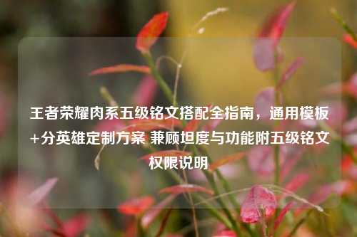 王者荣耀肉系五级铭文搭配全指南,通用模板+分英雄定制方案 兼顾坦度与功能附五级铭文权限说明