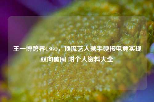 王一博跨界CSGO,顶流艺人携手硬核电竞实现双向破圈 附个人资料大全