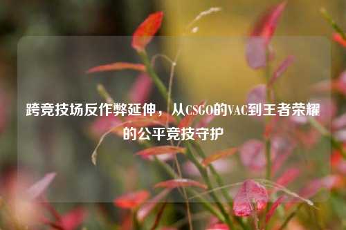 跨竞技场反作弊延伸，从CSGO的VAC到王者荣耀的公平竞技守护