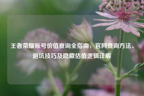 王者荣耀账号价值查询全指南,官网查询方法、避坑技巧及隐藏估值逻辑详解