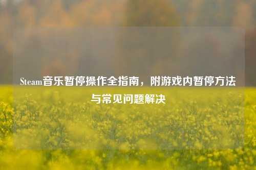 Steam音乐暂停操作全指南，附游戏内暂停方法与常见问题解决
