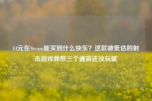 14元在Steam能买到什么快乐？这款被低估的射击游戏我熬三个通宵还没玩腻