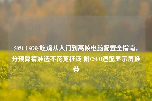 2024 CSGO/吃鸡从入门到高帧电脑配置全指南，分预算精准选不花冤枉钱 附CSGO适配显示屏推荐