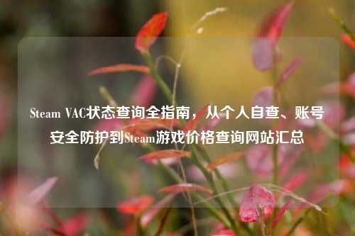 Steam VAC状态查询全指南，从个人自查、账号安全防护到Steam游戏价格查询网站汇总