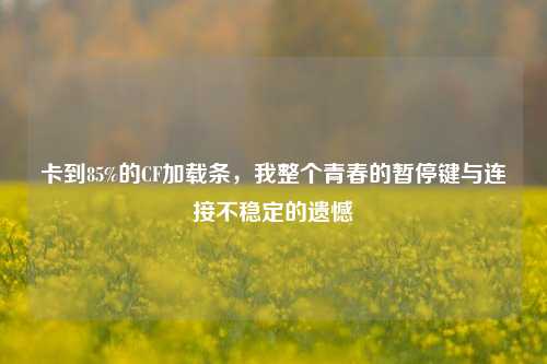 卡到85%的CF加载条,我整个青春的暂停键与连接不稳定的遗憾