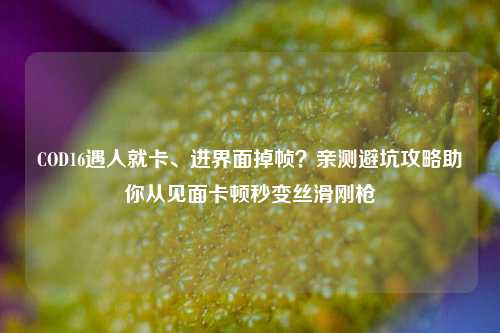 COD16遇人就卡、进界面掉帧?亲测避坑攻略助你从见面卡顿秒变丝滑刚枪