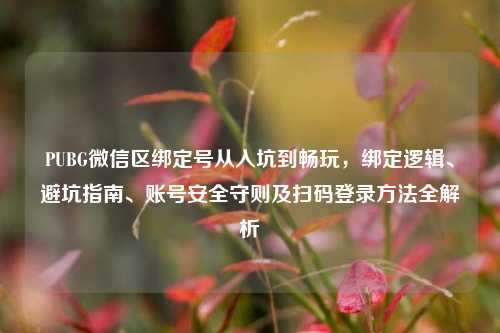 PUBG微信区绑定号从入坑到畅玩,绑定逻辑、避坑指南、账号安全守则及扫码登录方法全解析