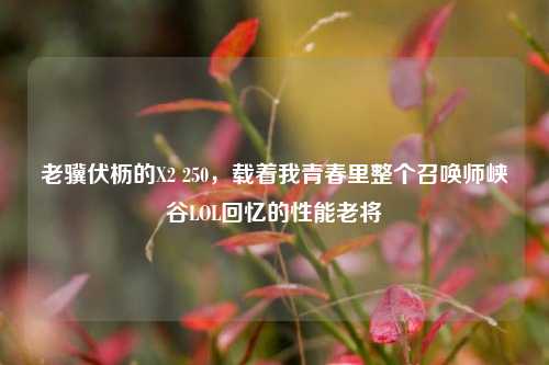 老骥伏枥的X2 250，载着我青春里整个召唤师峡谷LOL回忆的性能老将