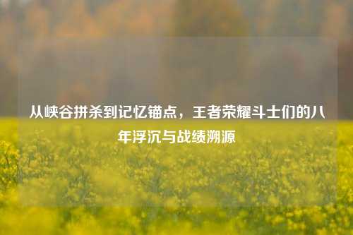 从峡谷拼杀到记忆锚点，王者荣耀斗士们的八年浮沉与战绩溯源