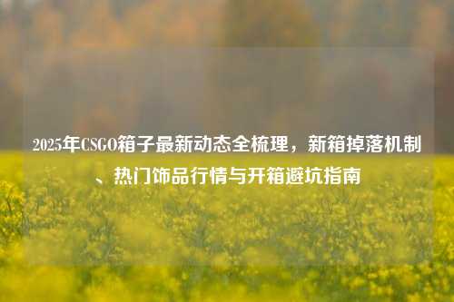 2025年CSGO箱子最新动态全梳理,新箱掉落机制、热门饰品行情与开箱避坑指南