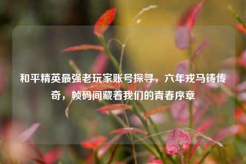 和平精英最强老玩家账号探寻，六年戎马铸传奇，帧码间藏着我们的青春序章