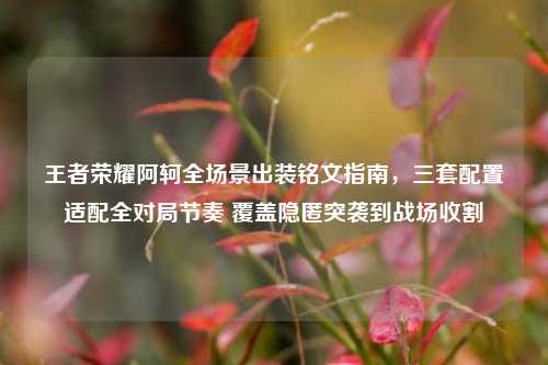 王者荣耀阿轲全场景出装铭文指南,三套配置适配全对局节奏 覆盖隐匿突袭到战场收割