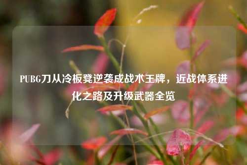 PUBG刀从冷板凳逆袭成战术王牌,近战体系进化之路及升级武器全览