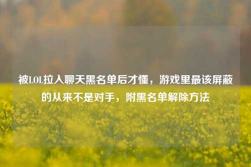 被LOL拉入聊天黑名单后才懂,游戏里最该屏蔽的从来不是对手,附黑名单解除方法