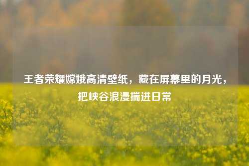 王者荣耀嫦娥高清壁纸，藏在屏幕里的月光，把峡谷浪漫揣进日常