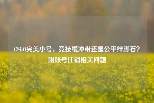 CSGO完美小号,竞技缓冲带还是公平绊脚石?附账号注销相关问题