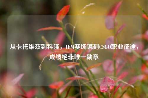 从卡托维兹到科隆，IEM赛场镌刻CSGO职业征途，成绩绝非唯一勋章