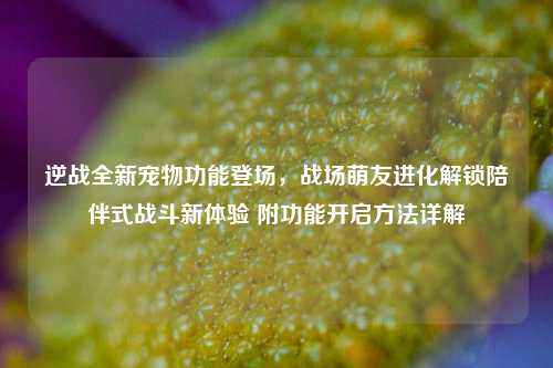 逆战全新宠物功能登场,战场萌友进化解锁陪伴式战斗新体验 附功能开启方法详解