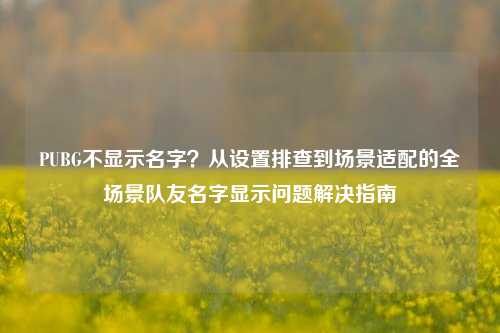 PUBG不显示名字?从设置排查到场景适配的全场景队友名字显示问题解决指南