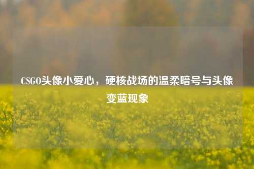 CSGO头像小爱心，硬核战场的温柔暗号与头像变蓝现象