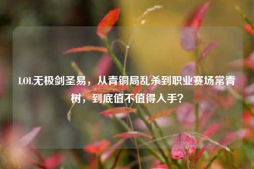 LOL无极剑圣易，从青铜局乱杀到职业赛场常青树，到底值不值得入手？