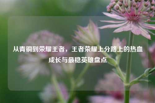 从青铜到荣耀王者,王者荣耀上分路上的热血成长与最稳英雄盘点