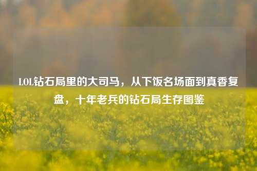LOL钻石局里的大司马,从下饭名场面到真香复盘,十年老兵的钻石局生存图鉴