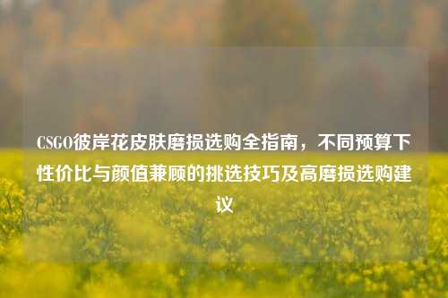 CSGO彼岸花皮肤磨损选购全指南,不同预算下性价比与颜值兼顾的挑选技巧及高磨损选购建议