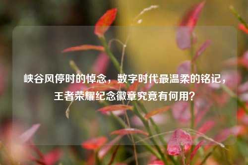 峡谷风停时的悼念，数字时代最温柔的铭记，王者荣耀纪念徽章究竟有何用？