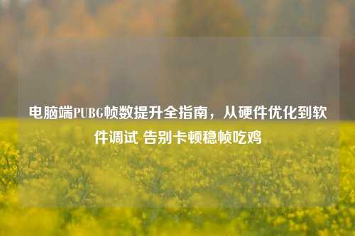 电脑端PUBG帧数提升全指南，从硬件优化到软件调试 告别卡顿稳帧吃鸡