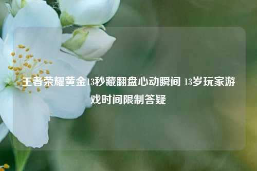 王者荣耀黄金13秒藏翻盘心动瞬间 13岁玩家游戏时间限制答疑