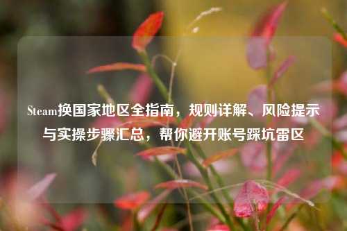 Steam换国家地区全指南,规则详解、风险提示与实操步骤汇总,帮你避开账号踩坑雷区