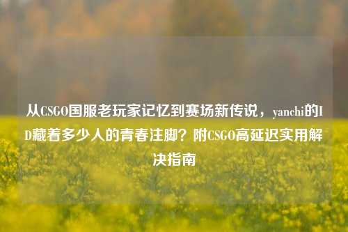 从CSGO国服老玩家记忆到赛场新传说,yanchi的ID藏着多少人的青春注脚?附CSGO高延迟实用解决指南