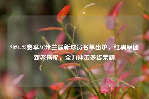 2024-25赛季AC米兰最新球员名单出炉,红黑军团新老搭配,全力冲击多线荣耀