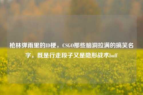 枪林弹雨里的ID梗,CSGO那些脑洞拉满的搞笑名字,既是行走段子又是隐形战术buff