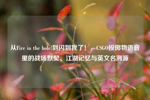 从Fire in the hole!到闪到我了！，CSGO投掷物语音里的战场默契、江湖记忆与英文名溯源